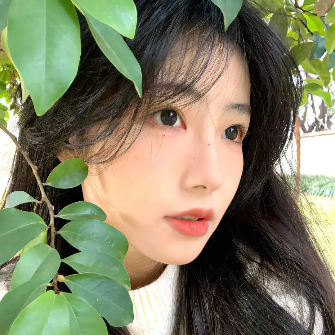 凉宫春日的消失